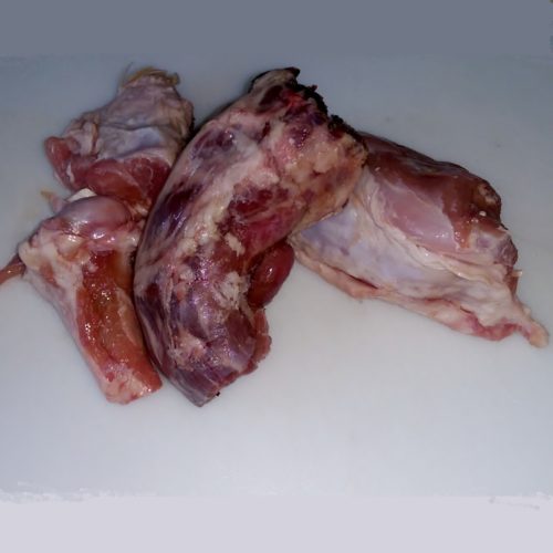 Turkey Bones